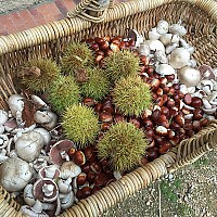 higginsdu71 - gay de 51 ans