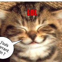 belfempourfem26 - femme bisexuelle de 46 ans