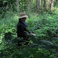 lutinlutin - homme bisexuel de 67 ans