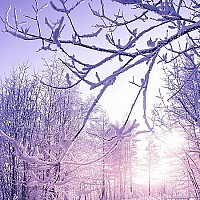 vince33 - gay de 51 ans