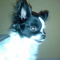 olivier84 - gay de 59 ans