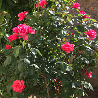 damienbi - gay de 61 ans