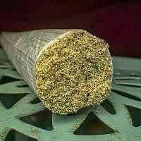 gradur - gay de 31 ans