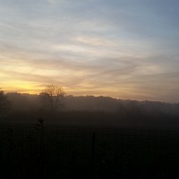 jeuneflesbienne - lesbienne de 39 ans