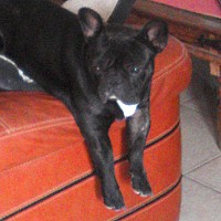 juan2554 - femme bisexuelle de 29 ans