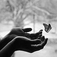 julia125 - lesbienne de 27 ans