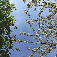 arnaux - homme bisexuel de 59 ans