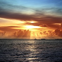 minime - gay de 41 ans