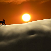 simplybi85 - homme bisexuel de 55 ans