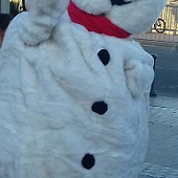 whynot40 - homme hétéro curieux de 53 ans