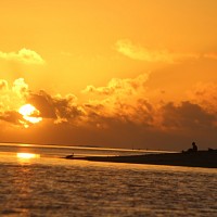 varari - homme bisexuel de 74 ans