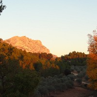 hommegentil - homme bisexuel de 69 ans