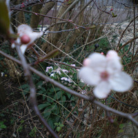 antoinedu59 - gay de 63 ans