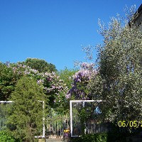 francois69400 - gay de 74 ans