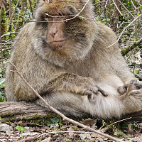 mdaddy24 - gay de 33 ans