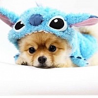 kost0975 - homme bisexuel de 27 ans