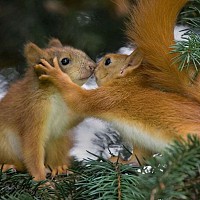 nouvobi87 - homme bisexuel de 74 ans