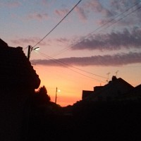 tatami52 - homme bisexuel de 39 ans