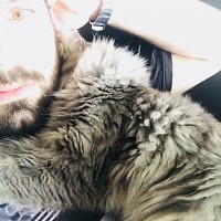 adferry - gay de 32 ans