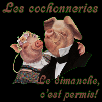 amor-amor - gay de 71 ans