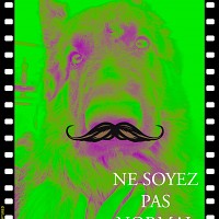 ithumba - lesbienne de 44 ans