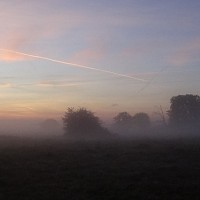 bugx - homme bisexuel de 69 ans