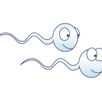 yo777 - homme bisexuel de 65 ans