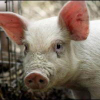 freckk - gay de 53 ans