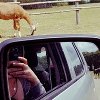 malоuеlle - lesbienne de 35 ans