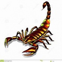 mecsympa19 - homme bisexuel de 60 ans