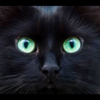 moustiquette - lesbienne de 45 ans