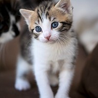 coincoin02 - lesbienne de 47 ans