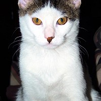 valet - gay de 33 ans