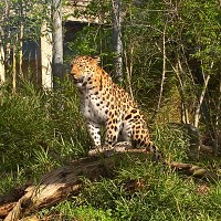 relationcool - homme bisexuel de 48 ans