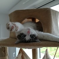 couplegay57410 - homme bisexuel de 51 ans