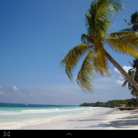 sensuelсhо - gay de 48 ans