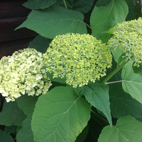 fredrocc9577 - gay de 45 ans