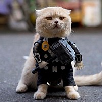 sylvie75015 - femme bisexuelle de 49 ans