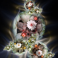 vahan - gay de 40 ans