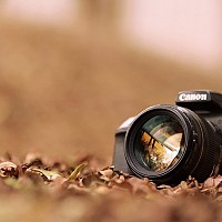 marina59800 - lesbienne de 29 ans