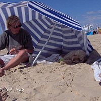 clarence18 - lesbienne de 61 ans