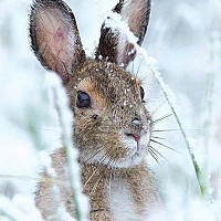 superjg21 - gay de 35 ans