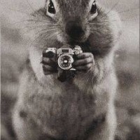 tranquille71 - lesbienne de 35 ans