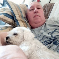 pascal8484 - gay de 57 ans