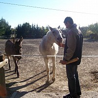 mec113 - homme bisexuel de 59 ans