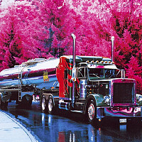 саmaro566 - gay de 54 ans