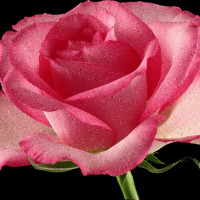 hommedeslandes - homme bisexuel de 60 ans