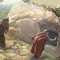 mitch7845 - gay de 46 ans