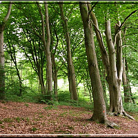 dido76000 - homme bisexuel de 60 ans