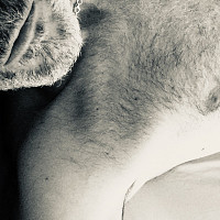 barrio - homme bisexuel de 52 ans